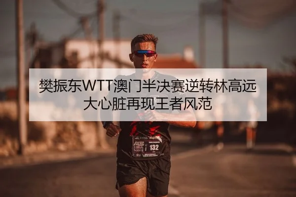 樊振东WTT澳门半决赛逆转林高远 大心脏再现王者风范