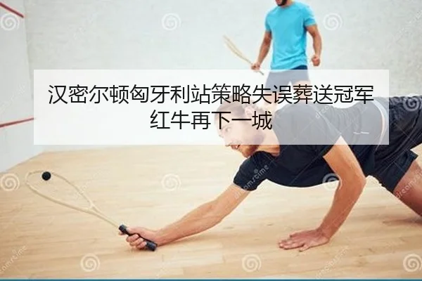 han-mi-er-dun-xiong-ya-li-zhan-ce-lve-shi-wu-zang-song-guan-jun-hong-niu-zai-xia-yi-cheng-2-598.jpg